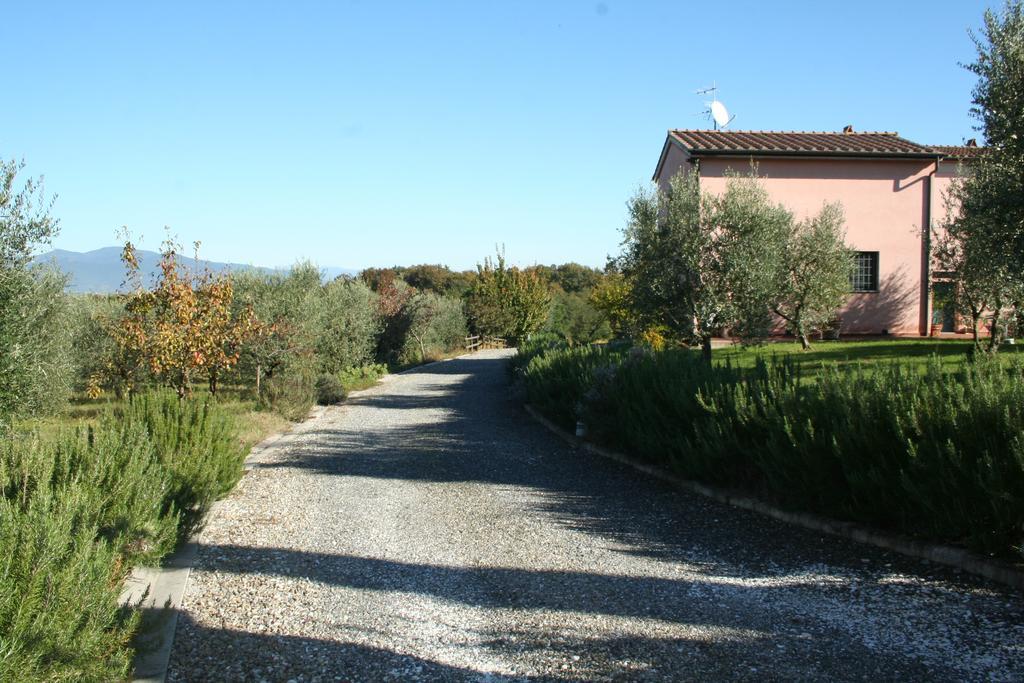 Agriturismo Gli Archi Fauglia ภายนอก รูปภาพ