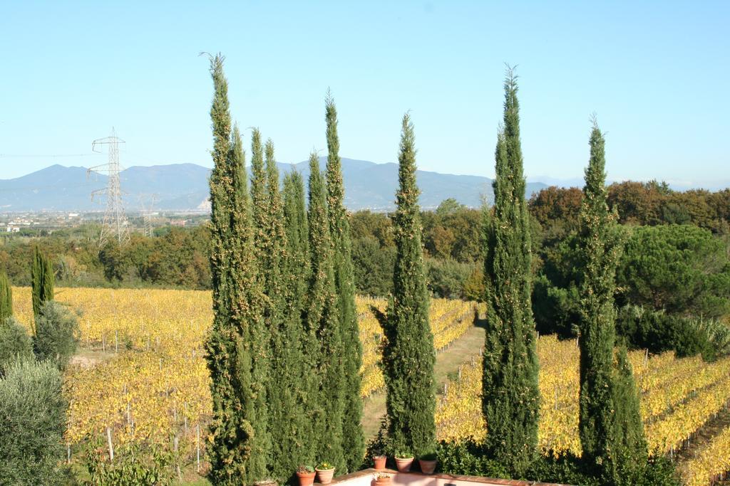 Agriturismo Gli Archi Fauglia ภายนอก รูปภาพ