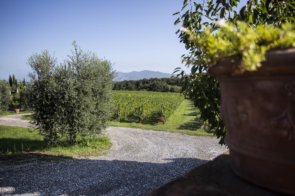 Agriturismo Gli Archi Fauglia ภายนอก รูปภาพ