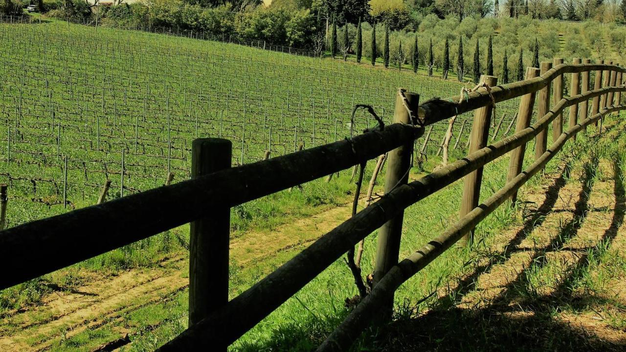 Agriturismo Gli Archi Fauglia ภายนอก รูปภาพ